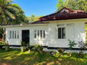 Peace Villa - Homestay