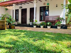 Elegant Nature Lodge