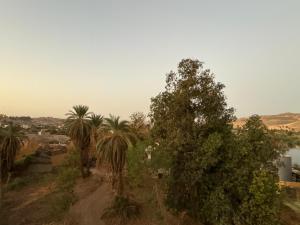 Seko Kato Nile View Hostel