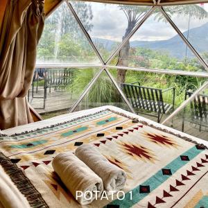 Black Lava Camp Kintamani