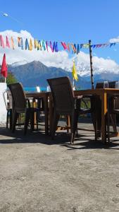 Munsyari camping zone & tracking snow hill