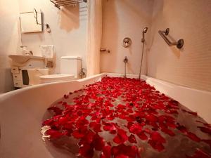 HOTEL TRIPLE SEVEN , Pushkar - A Beautiful Resort Nested in Natures Lap