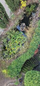 Studio auszeit in Speyer