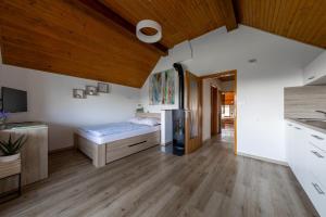 Cottage near river Kolpa, vineyards,top location. 