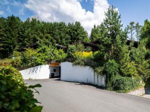 Apartment in Saalfelden near Ski Slopes