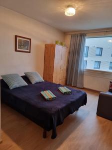 Rovaniemi Grandma`s house