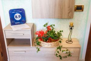 L'Aurora Viola img13