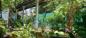 Ceylonika Rest