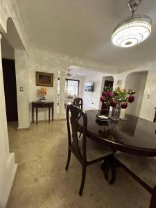 Cozy apartment in Piantini city center