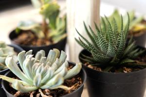 Umah Denadja Villa By Jaia Hospitality