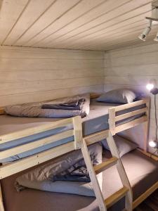 Gemuetliches Blockhaus im Wald