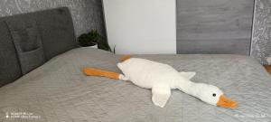 Tilava kaksio Jussilankadulla