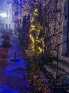 La Ferme at Xmas