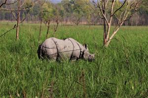 Chitwan Jungle Safari Home Stay
