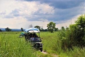Chitwan Jungle Safari Home Stay