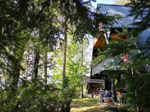 The house at the larssen