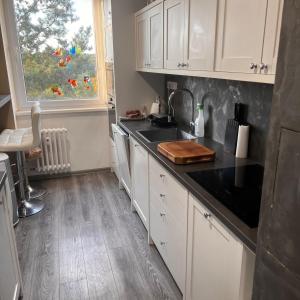 Apartment in Prague in a quiet location close to the center