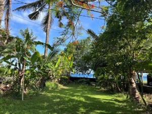 Villa Jasri Point - Beachfront Villa close to surf