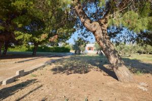 Tenuta Lu Sule & Lu Jentu