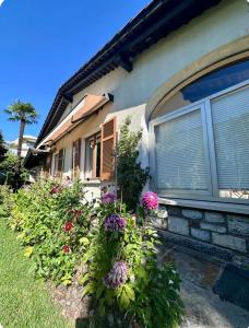 Lake View Palm Garden