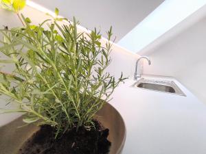 Apartment Poprad - Tatra Elegant, Near High Tatras, Free Parking, Modern Stay