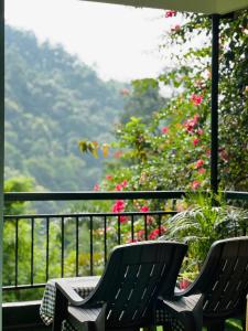 Riverbench Homestay Munnar, Anaviratty