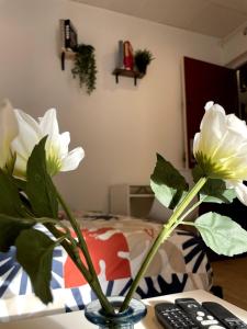 Studio Jacuzzi & Private Cinema - Paris south