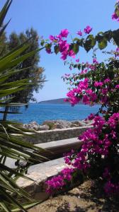 Boutique Hotel Tilos Mare Tílos Greece