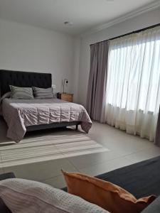 Departamentos del Trébol II