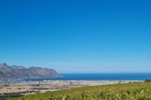 Tuscan Flatlet at 13 Olives Estate