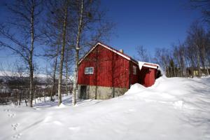 Charming Cabin Ski-In Access And Pet Friendly