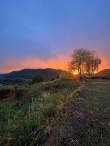 La casa de la masia - La masia
