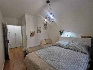 Apartament pod modrzewiem