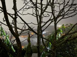 El Rincón De Las Guacharacas