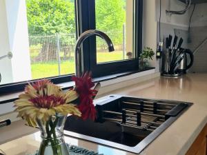 Racha Cornfield House