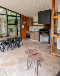 Volcano Studio Pucon