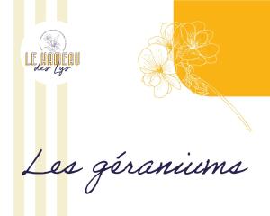 Le Hameau des Lys - 12min du PuyduFou