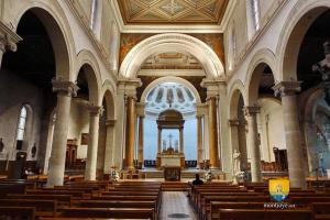 T1 neuf confortable Business