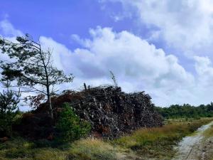 Luxury Retreat with Pool - By Traum Ferienwohnungen