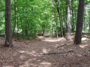 Luxury Retreat with Pool - By Traum Ferienwohnungen