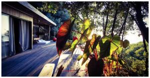 Stunning Cabin in Splendid Surroundings Cap Corse