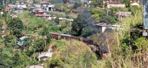 Royal Lush Hotels