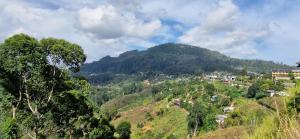 Royal Lush Hotels