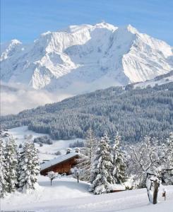 Chalet neuf La Marmotière - Vue sur la Montagne