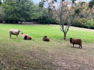Centre de la Solitude du Sauveur