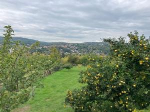 Casa Slarku - Luxury Container Houses