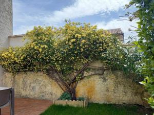 Niché au cœur de la Provence - VERNEGUES