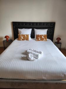 T3 Le logis de Martin - city center - near Ducale Place with parking space