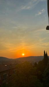 The Green Nest Perugia