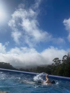 Casa da Arvore im Eukalyptuswald